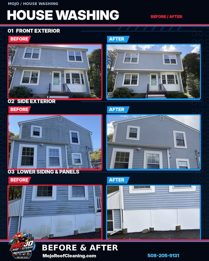 Real Mojo house-washing project before and after photograph